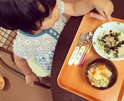 食トレお盆2