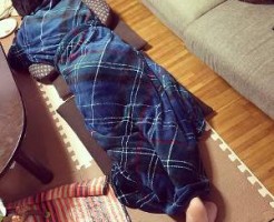 グルーニー着る毛布6